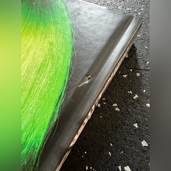 BILLIE EILISH BOOK - Picture 6 of 10